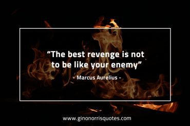 The  best revenge MarcusAureliusQuotes